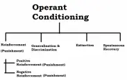 diagram of concepts of operant conditioning