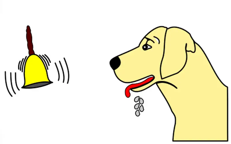 a dog dripping saliva while re-responding to the sound of bell, spontaneous recovery, principles of classical conditioning theory