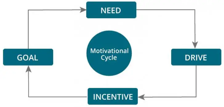 diagram with motivation at the center and  goal, need, drive and incentive forming a circular path around it, in that order