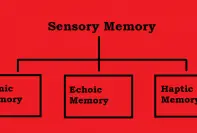 types of sensory memory